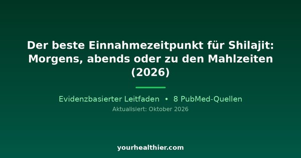 Der beste Einnahmezeitpunkt für Shilajit: Morgens, abends oder zu den Mahlzeiten (2026)