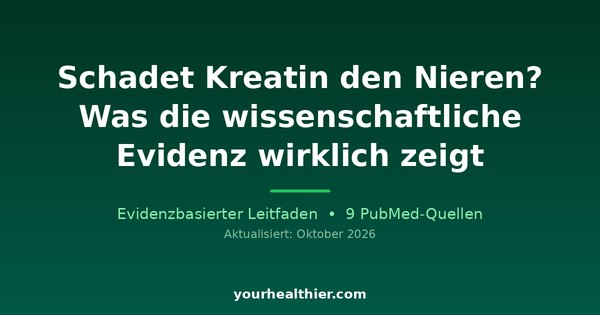 Schadet Kreatin den Nieren? Was die wissenschaftliche Evidenz wirklich zeigt