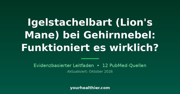 Igelstachelbart (Lion’s Mane) bei Gehirnnebel: Funktioniert es wirklich?