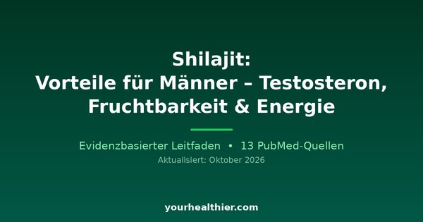 Shilajit: Vorteile für Männer – Testosteron, Fruchtbarkeit & Energie